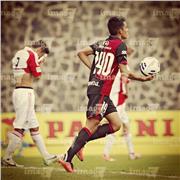 Educación física y deportes y/o preparador físico